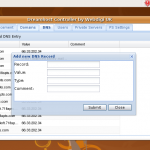 New DNS entry on Ubuntu